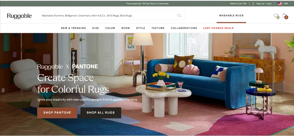 Top 20 Most Successful Shopify Dropshipping Stores:Ruggable