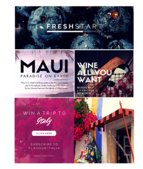 Facebook Ads Management Software: Canva