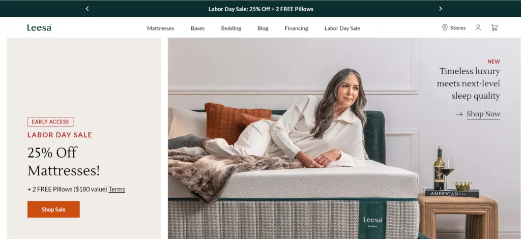 Top 20 Most Successful Shopify Dropshipping Stores:Leesa